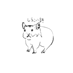 [LINEスタンプ] らくがき ぽてと