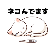 [LINEスタンプ] まん丸白猫