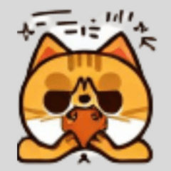 [LINEスタンプ] 猫をどうするか