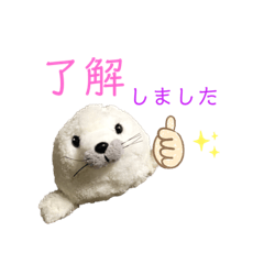 [LINEスタンプ] あざらしのおうちゃん 日常