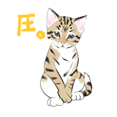 [LINEスタンプ] ベンガルとトンキニーズ猫の日常