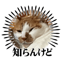 [LINEスタンプ] 虎徹とハート知らんけど