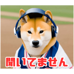 [LINEスタンプ] 野球好きな芝犬スタンプ