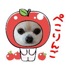 [LINEスタンプ] 428(3)