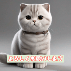 [LINEスタンプ] かわいい猫の仲間たち