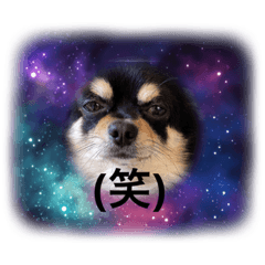 [LINEスタンプ] おじーじ
