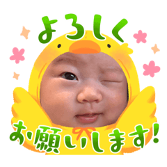 [LINEスタンプ] 京ちゃんのスタンプ①の画像（メイン）