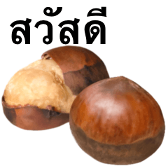 [LINEスタンプ] 焼き栗 タイ語