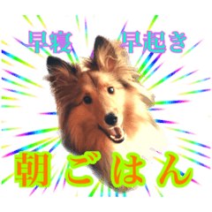 [LINEスタンプ] わろてるイッヌ