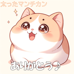 [LINEスタンプ] 太ったマンチカンの日常（日本語）