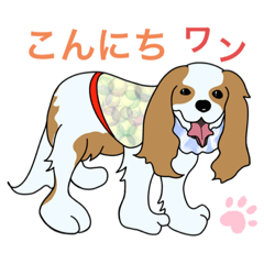 [LINEスタンプ] キャバリア犬城