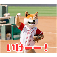 [LINEスタンプ] 野球好きな柴犬スタンプ