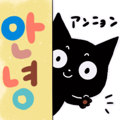 [LINEスタンプ] 黒猫のちょうどよく使える！韓国語スタンプ