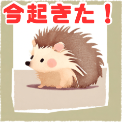 [LINEスタンプ] もちもちハリネズミスタンプ