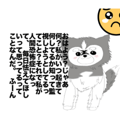 [LINEスタンプ] シベリアンハスキー【〜ヒス構文〜】