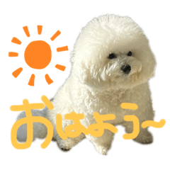 [LINEスタンプ] ノエルさん②
