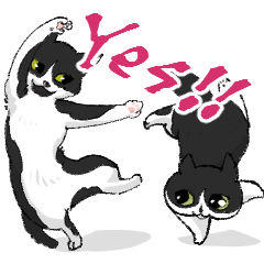 [LINEスタンプ] ハチワレ猫2匹