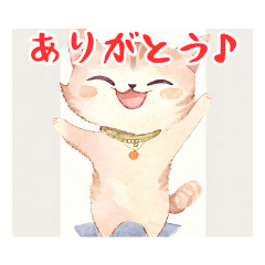 [LINEスタンプ] 可愛いネコの推し活スタンプ