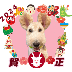 [LINEスタンプ] アビー君の冬＆お正月☆のご挨拶