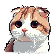 [LINEスタンプ] ドット絵 スコティッシュフォールド 猫