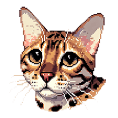 [LINEスタンプ] ドット絵 ベンガル 猫  日常会話