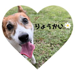 [LINEスタンプ] 毎日使える♩メイちゃん基本スタンプ