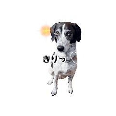 [LINEスタンプ] 麗しの麗子ちゃん②