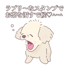 [LINEスタンプ] 犬とキツネとたぬきとハムスターのスタンプ