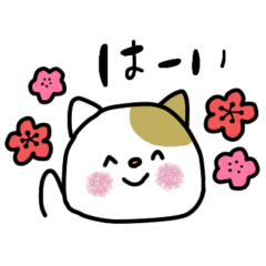 [LINEスタンプ] 大人可愛い猫（再販）