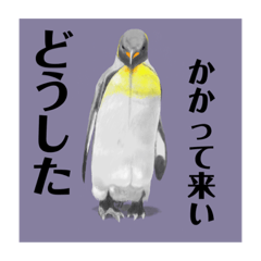 [LINEスタンプ] 神在月のペンギンスタンプ18.1