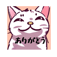 [LINEスタンプ] 可愛いようで可愛くない猫