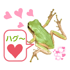 [LINEスタンプ] 野生のカエル18(ありふれた日常！)