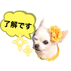 [LINEスタンプ] スムチーのクレオちゃん♡②