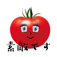 [LINEスタンプ] うちのお姉ちゃんはトマトが好き