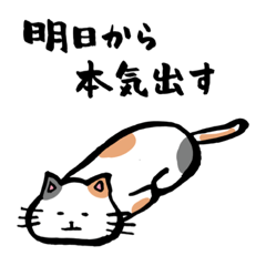 [LINEスタンプ] かわいい猫ちゃんスタンプ①