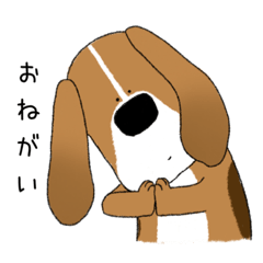 [LINEスタンプ] 虚無犬（きょむ犬）