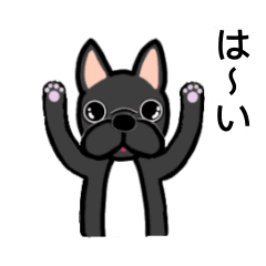 [LINEスタンプ] フレンチブルとリクガメのゆったりライフ