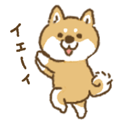 [LINEスタンプ] 赤しばワンコ(赤柴)ちょっと取り込み中編