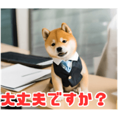 [LINEスタンプ] 仕事好きな柴犬スタンプ