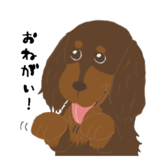 [LINEスタンプ] チョコタンといっしょ