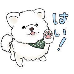 [LINEスタンプ] 白タヌキ犬こてつ