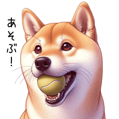 [LINEスタンプ] 柴犬の日和