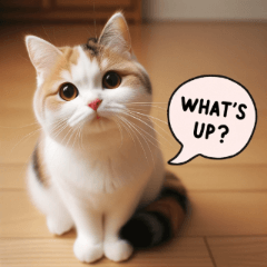 [LINEスタンプ] 三毛猫スタンプ2