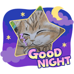 [LINEスタンプ] おおさかねこちゃん13