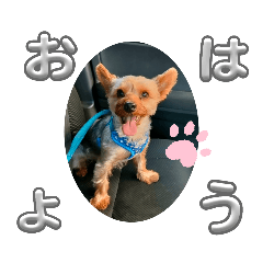 [LINEスタンプ] メイルアのおはよう