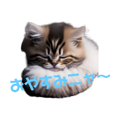 [LINEスタンプ] 近所の子猫