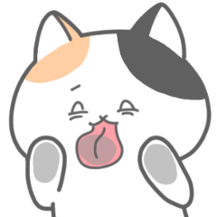 [LINEスタンプ] あにまるず～ねこのみぃけ～