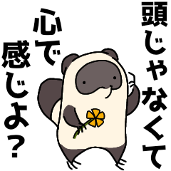 [LINEスタンプ] なんかうるせえ てぬきのたぬき