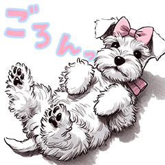 [LINEスタンプ] わんことゆるく生きる（白シュナ）