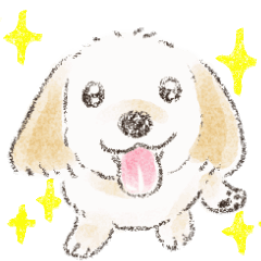 [LINEスタンプ] ハーフ犬 ラテちゃんです